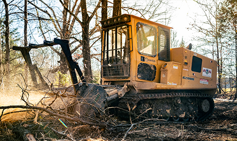 Enhancing Soil Quality and Supporting Healthy Vegetation: The Benefits of Forestry Mulching